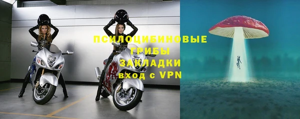 ГАЛЛЮЦИНОГЕННЫЕ ГРИБЫ Покачи