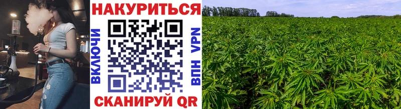 Конопля гибрид  Белый 